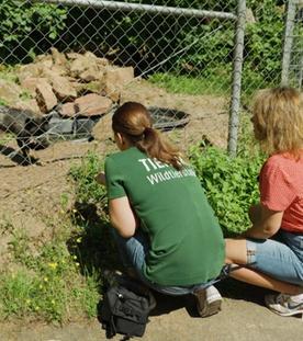 Die Wildtierauffangstation TIERART
