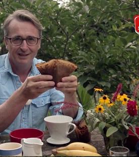 Dünger aus Kaffee, Eierschalen & Co.