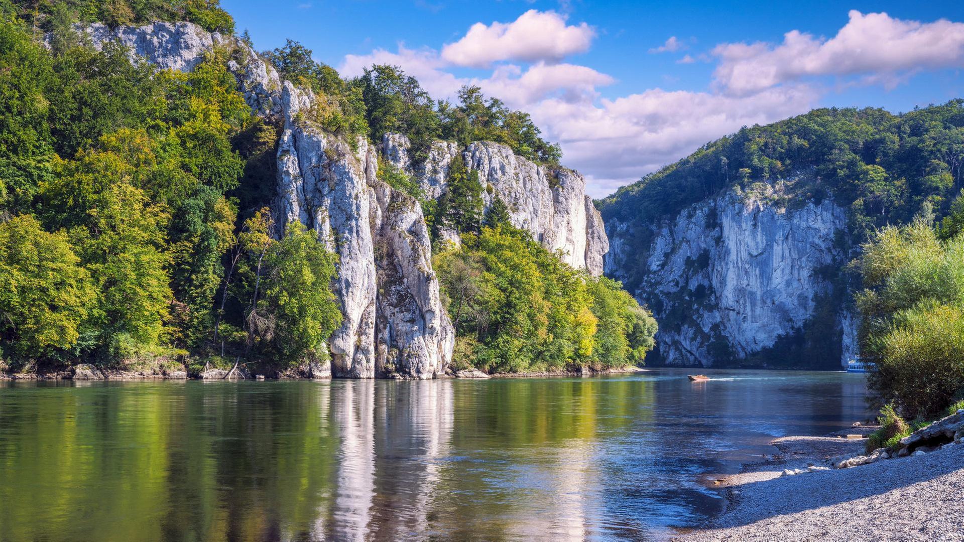 Durch Auwälder und das Urdonautal