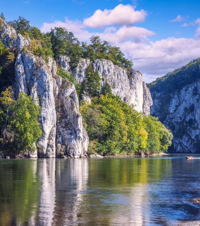 Durch Auwälder und das Urdonautal