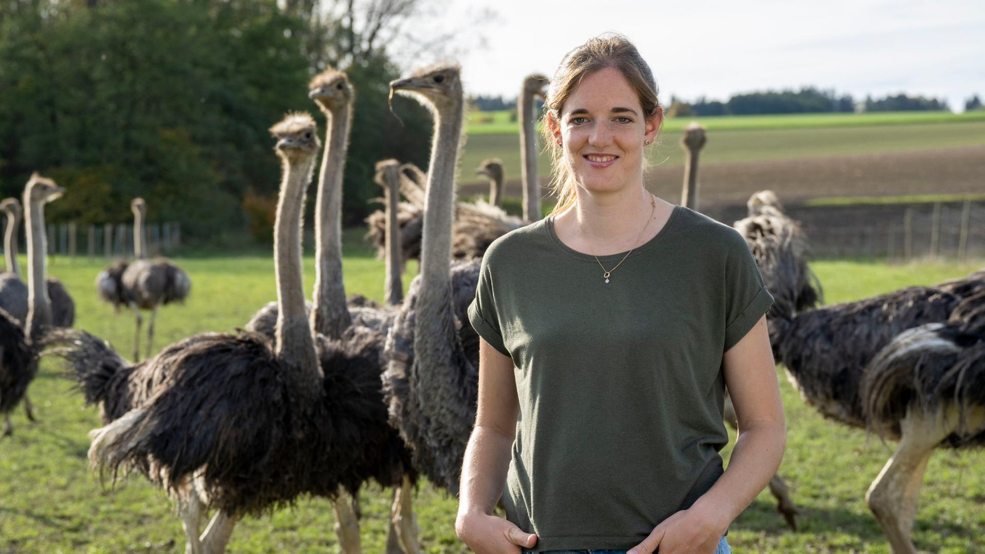 Edles vom Strauß aus der Bodenseeregion