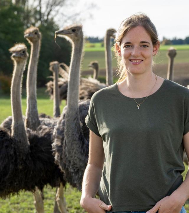 Edles vom Strauß aus der Bodenseeregion