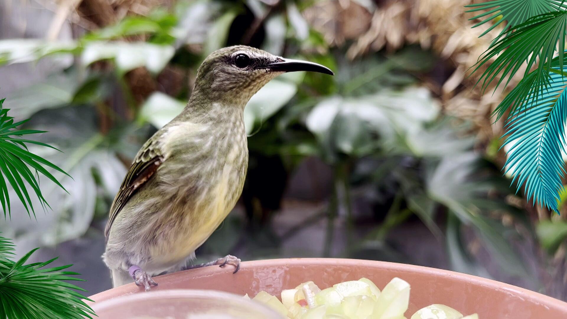 Ein beflügelnder Tag