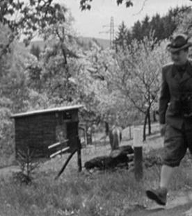 Ein Gang mit dem Förster durchs Revier