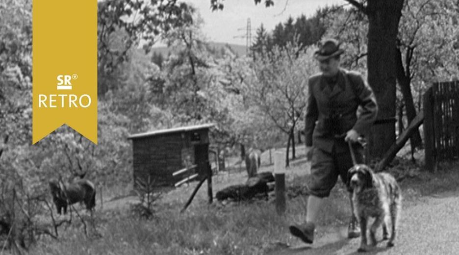 Ein Gang mit dem Förster durchs Revier