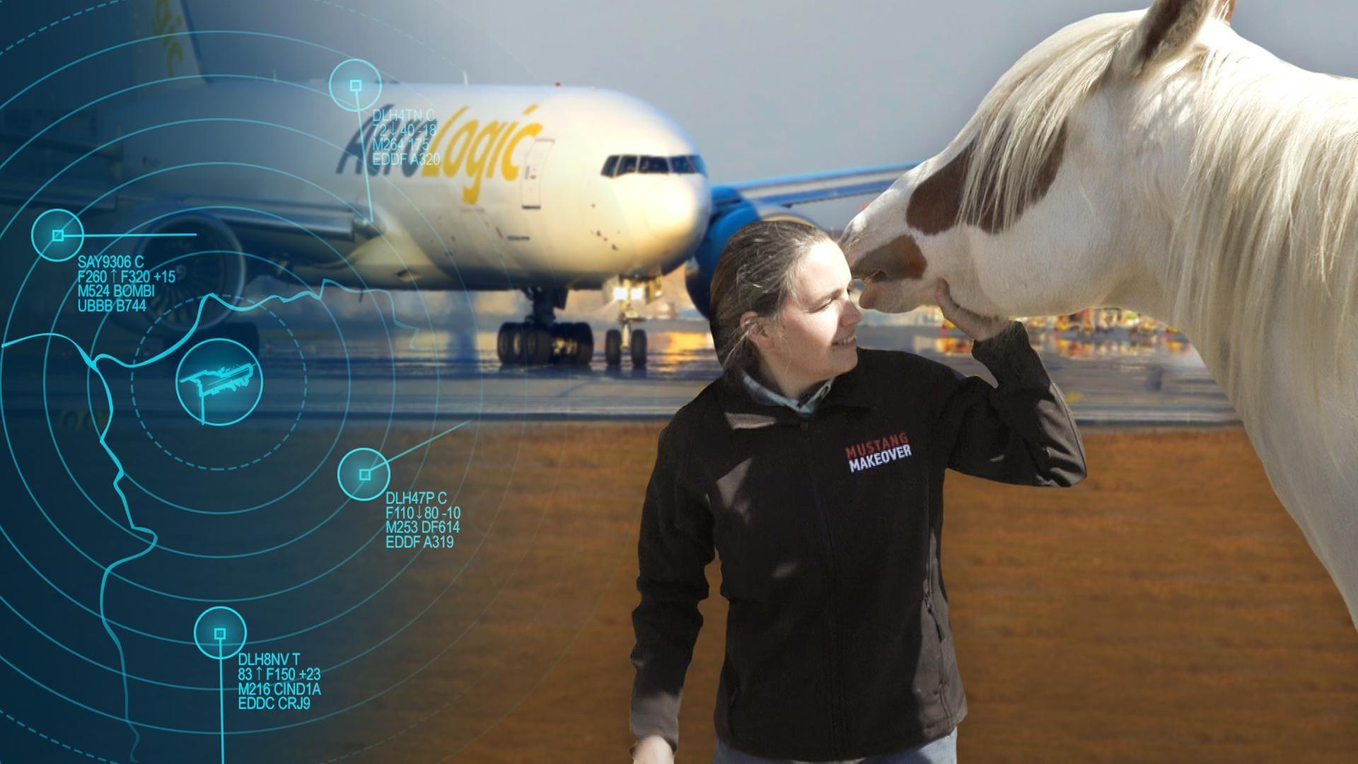 Eine Boeing voller Mustangs – Pferdetransport per Flugzeug