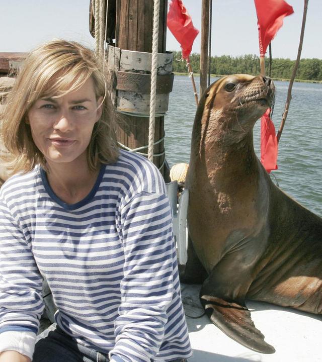 Eine Robbe und das große Glück