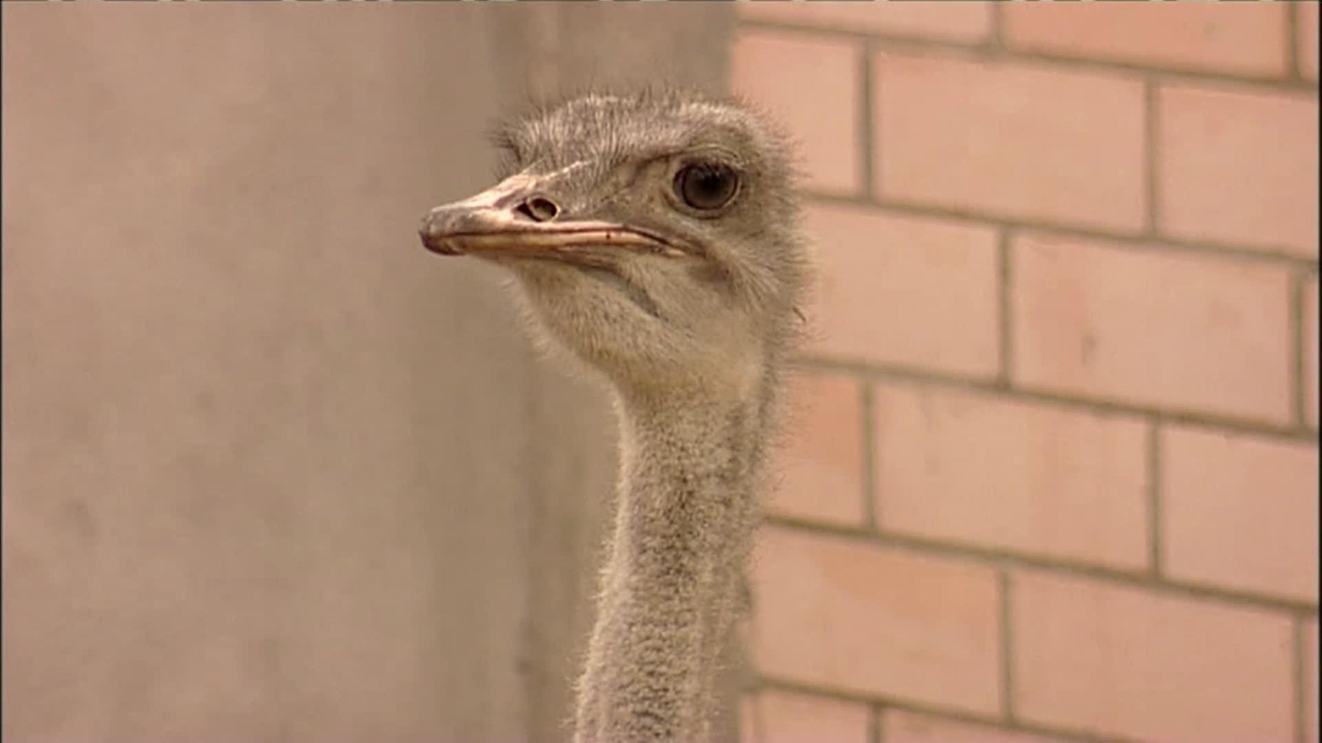 Einfach mal umziehen