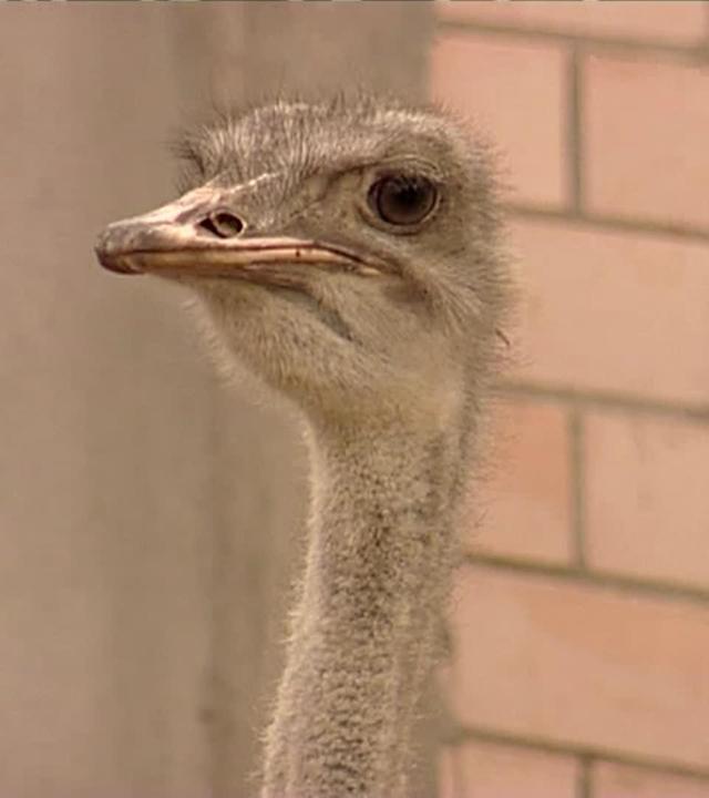 Einfach mal umziehen