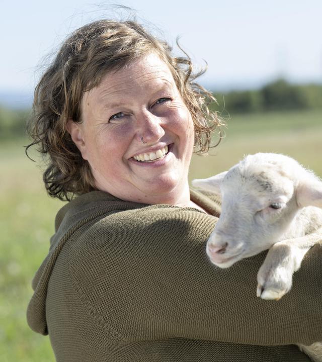 Eispralinen und kreatives Käsehandwerk