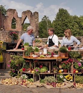 Elsässer Flammkuchen