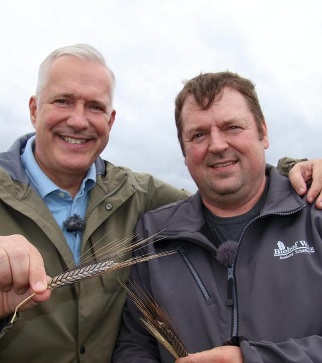 Emmer und Khorasan-Weizen