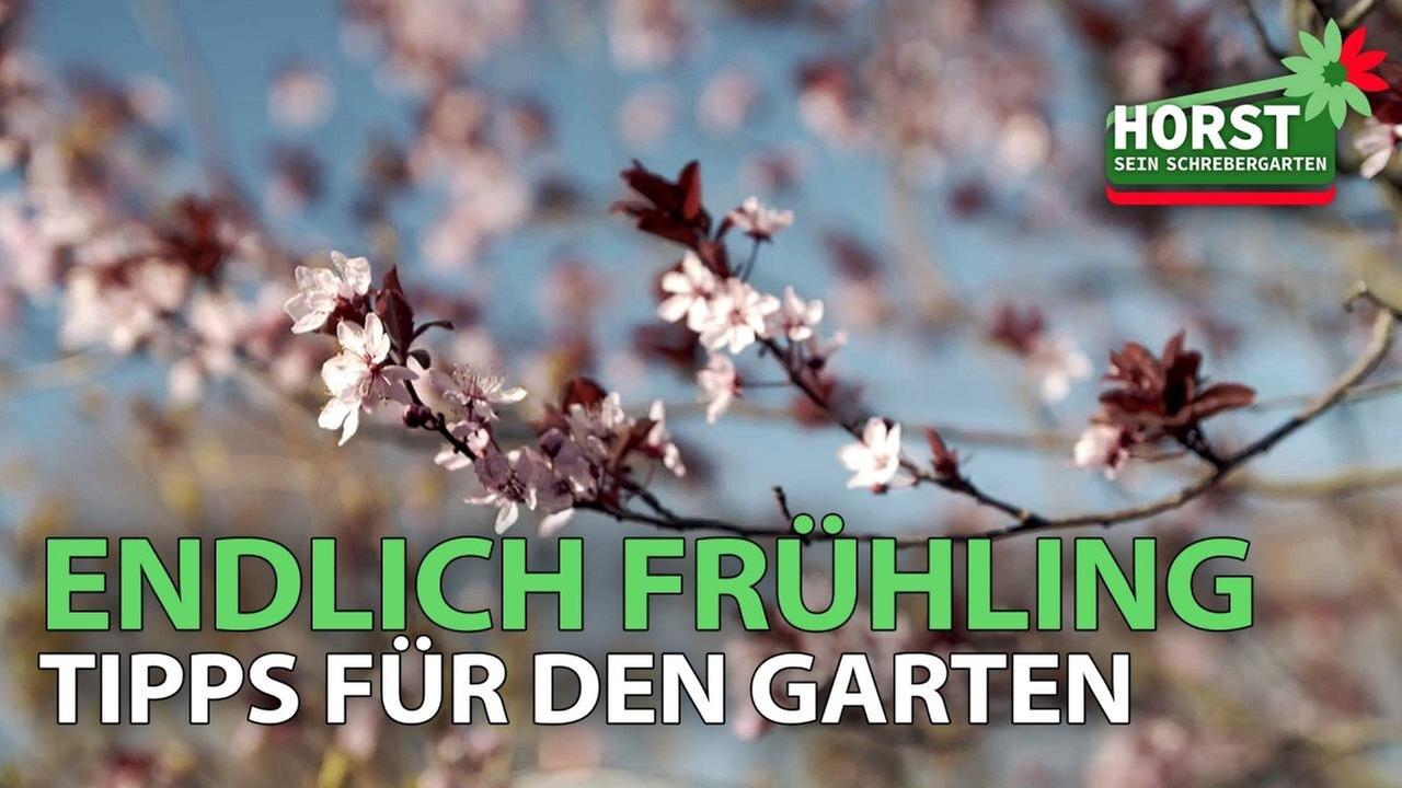 Endlich Frühling - praktische Tipps für den Garten