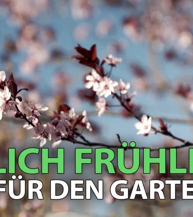 Endlich Frühling - praktische Tipps für den Garten