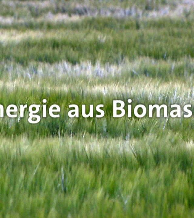 Energie aus Biomasse · total phänomenal