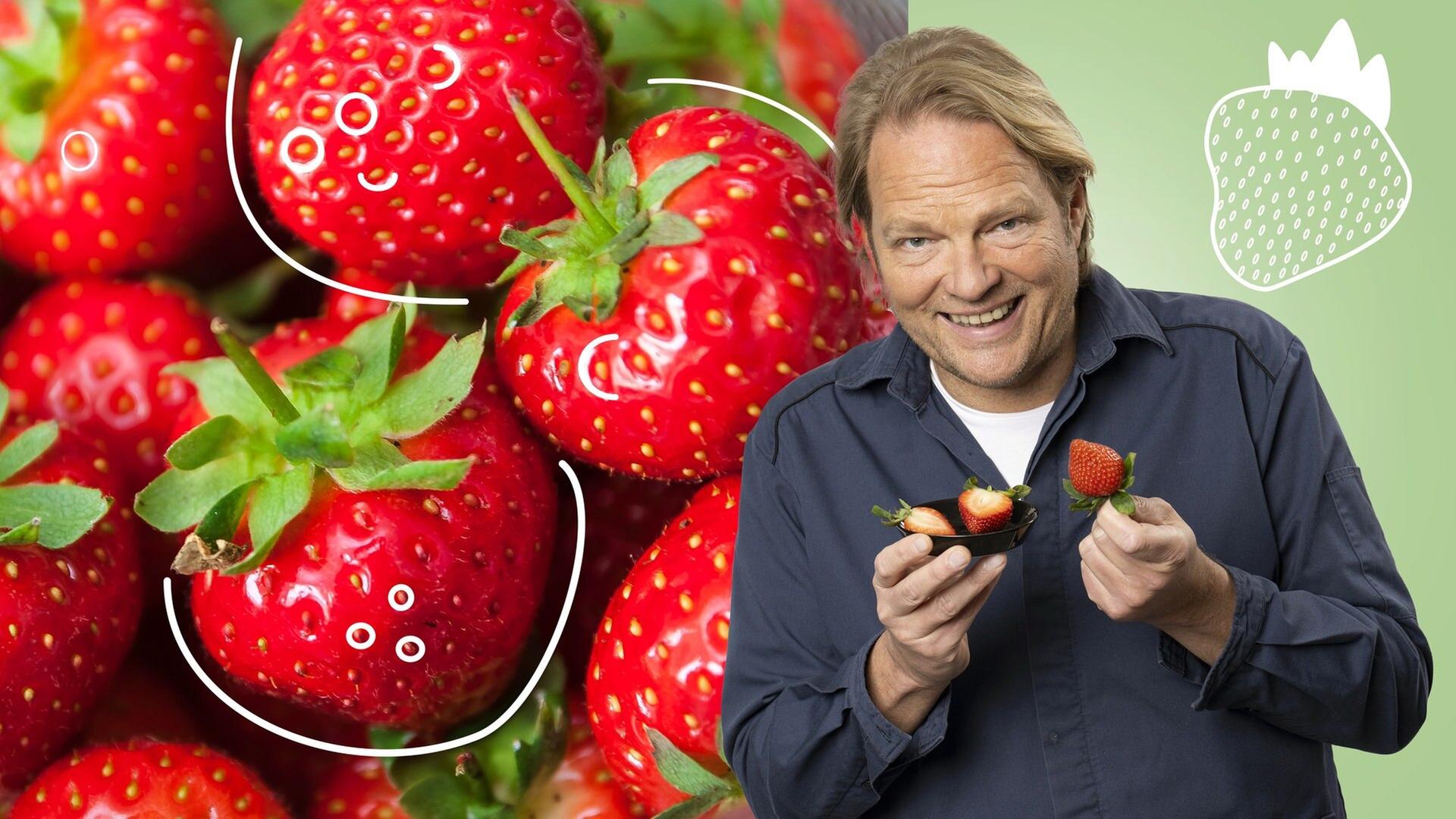 Erdbeeren im Check: Wie sicher ist unsere regionale Lieblingsfrucht?