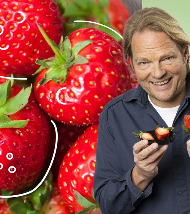 Erdbeeren im Check: Wie sicher ist unsere regionale Lieblingsfrucht?