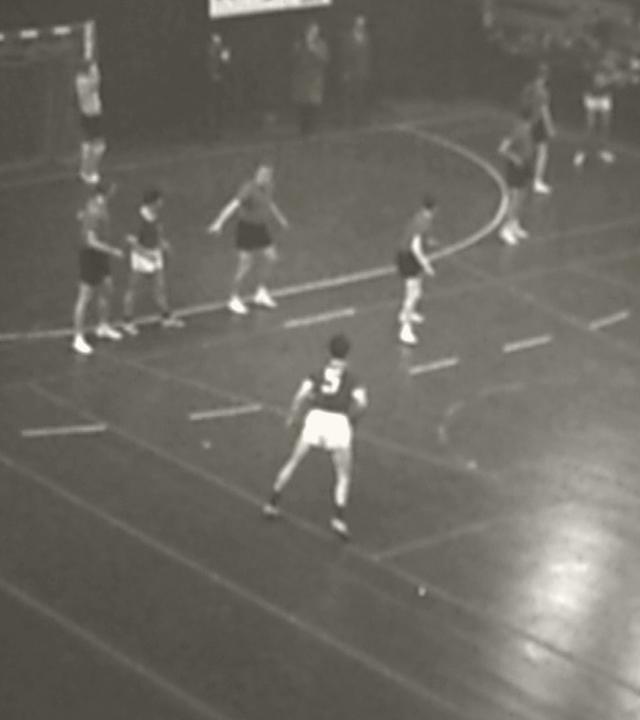 Euopa-Cup Hallenhandball