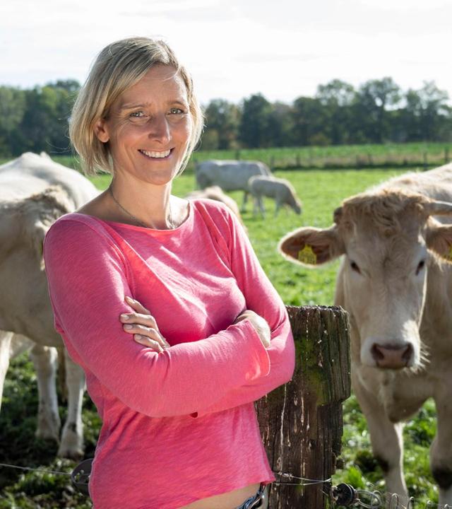 Feines vom blonden Rind im Münsterland