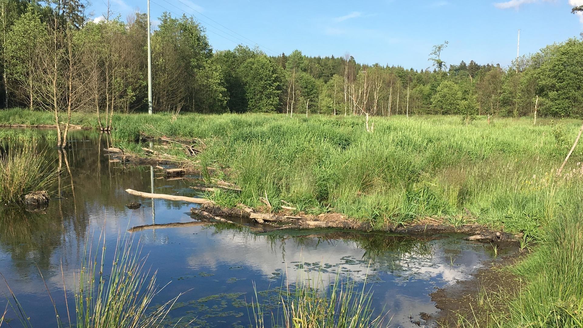 Fichtelgebirge · Bayerns wilder Norden