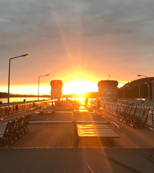 Folge 36 : Blumengrüße aus St. Pölten