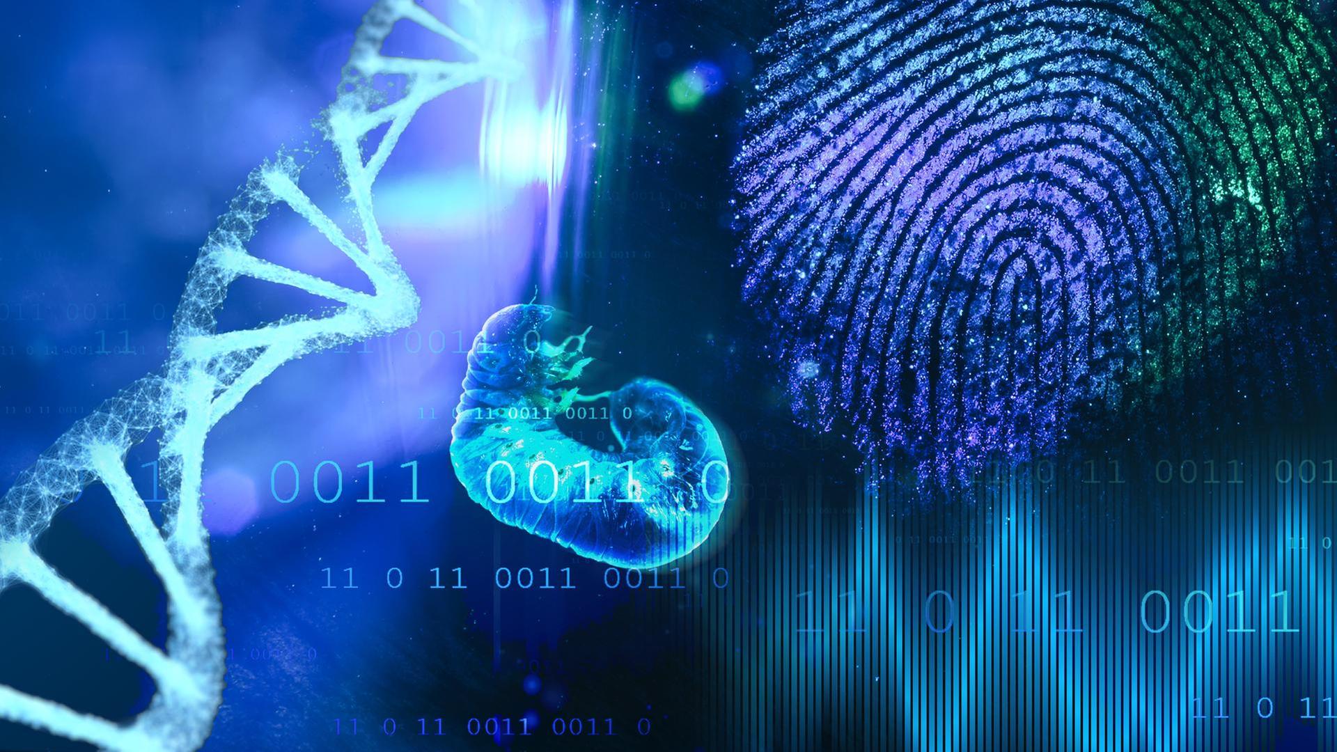 Forensik 3.0 – Den Tätern auf den Fersen