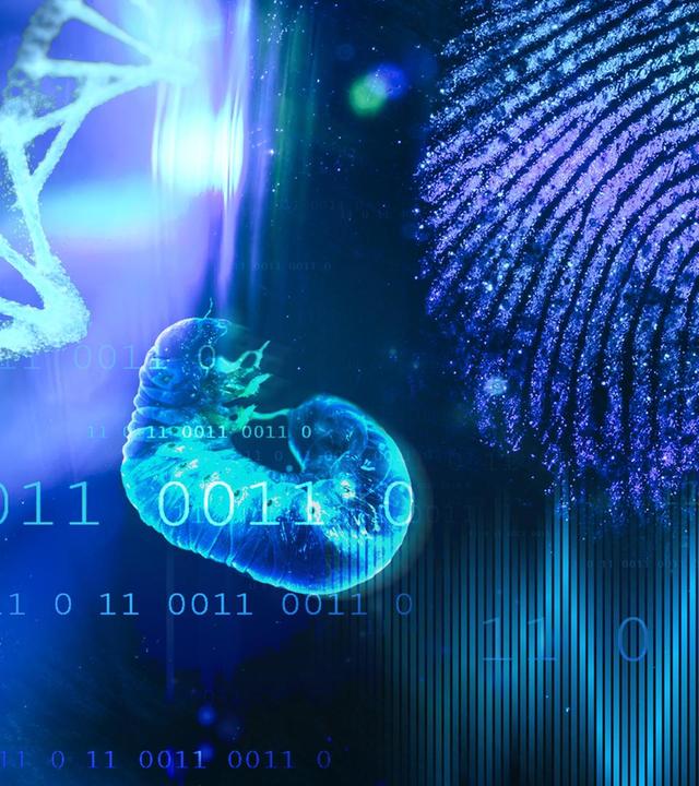 Forensik 3.0 – Den Tätern auf den Fersen