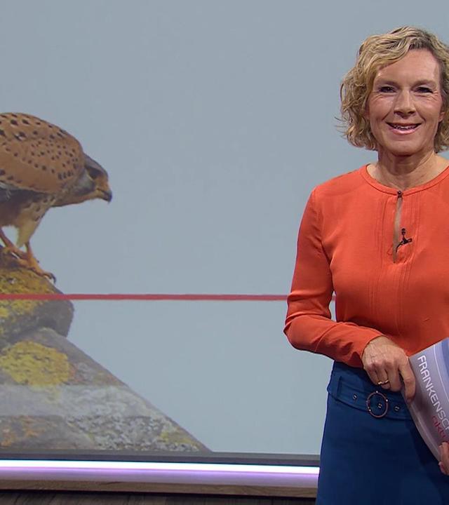 Frankenschau aktuell vom 14.03.2024