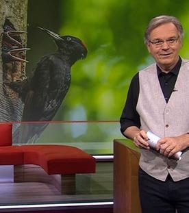 Frankenschau aktuell vom 24.05.2024