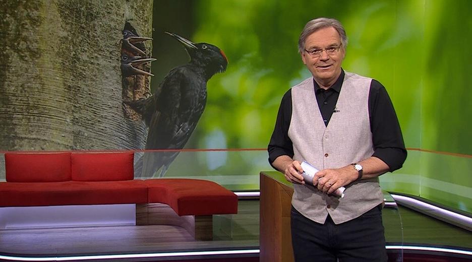 Frankenschau aktuell vom 24.05.2024