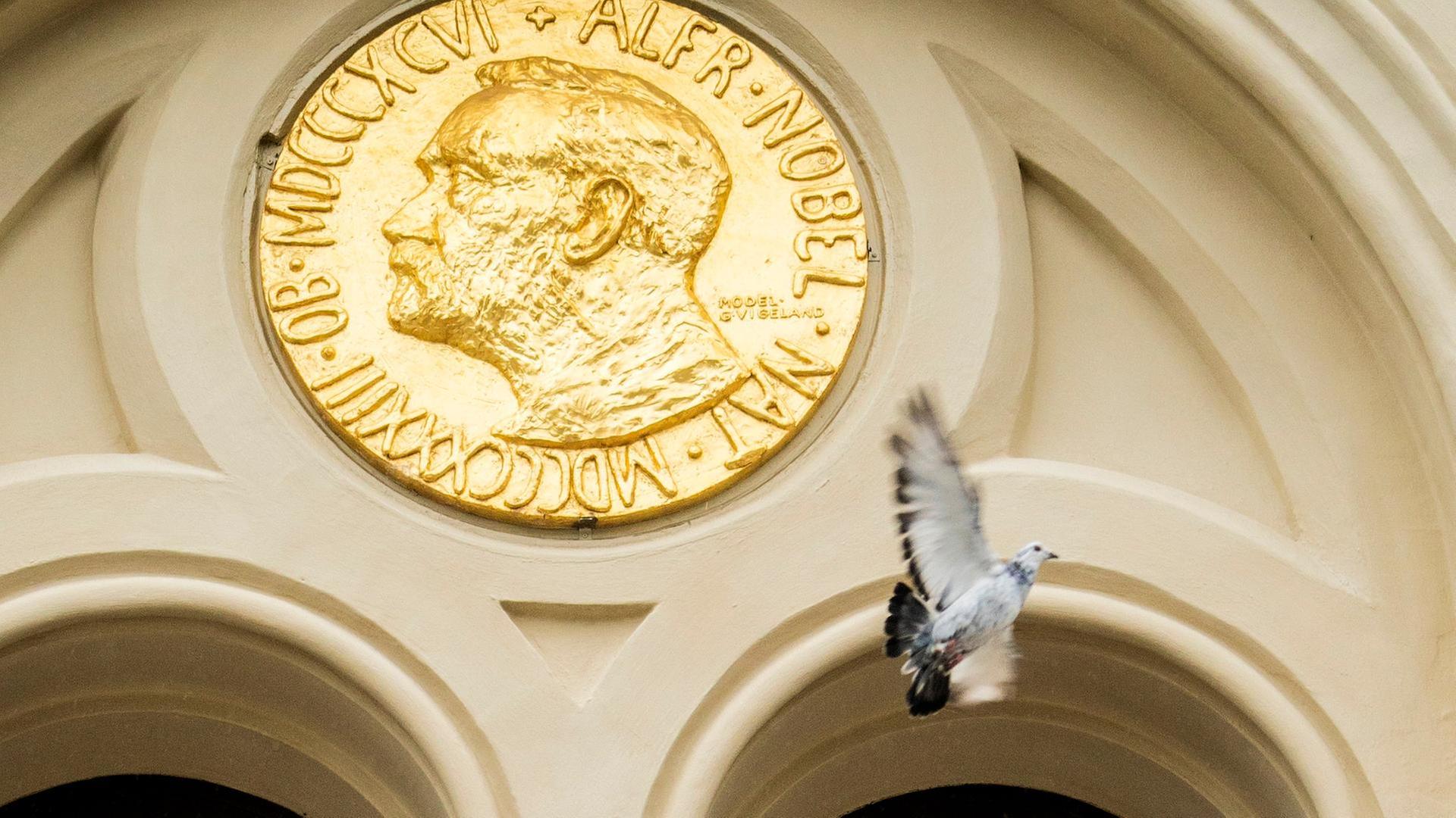 Friedensnobelpreis in Zeiten des Krieges: Was kann er bewirken?