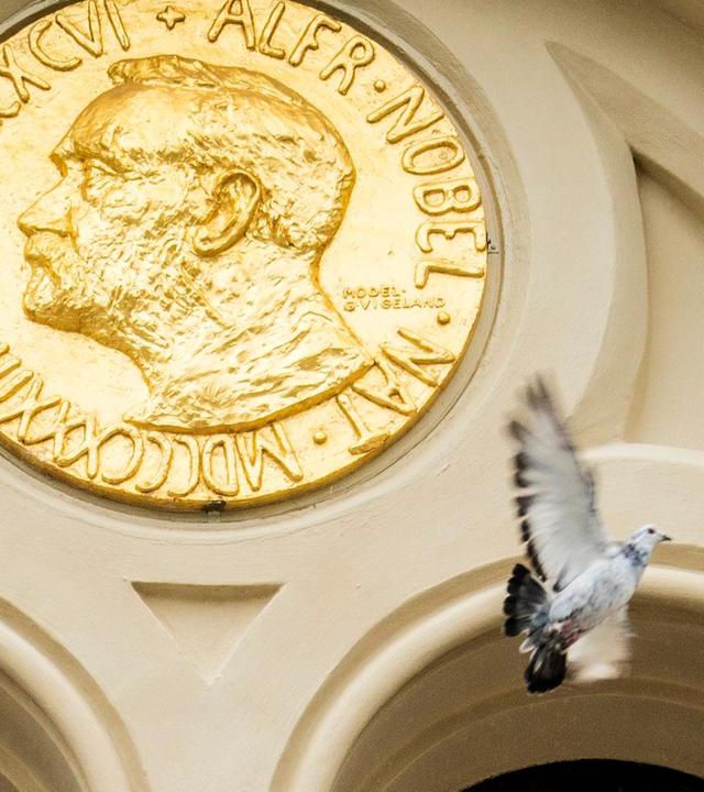 Friedensnobelpreis in Zeiten des Krieges: Was kann er bewirken?
