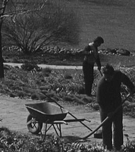 Frühling im Deutsch-Französischen Garten