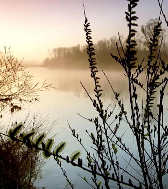 Frühling in Schwaben