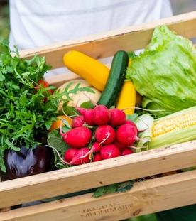 Gärtnerstadt Bamberg - Tradition und Innovation