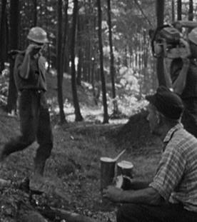 Gang durchs Revier: Menschen im Wald