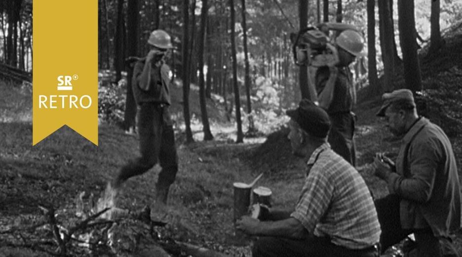 Gang durchs Revier: Menschen im Wald