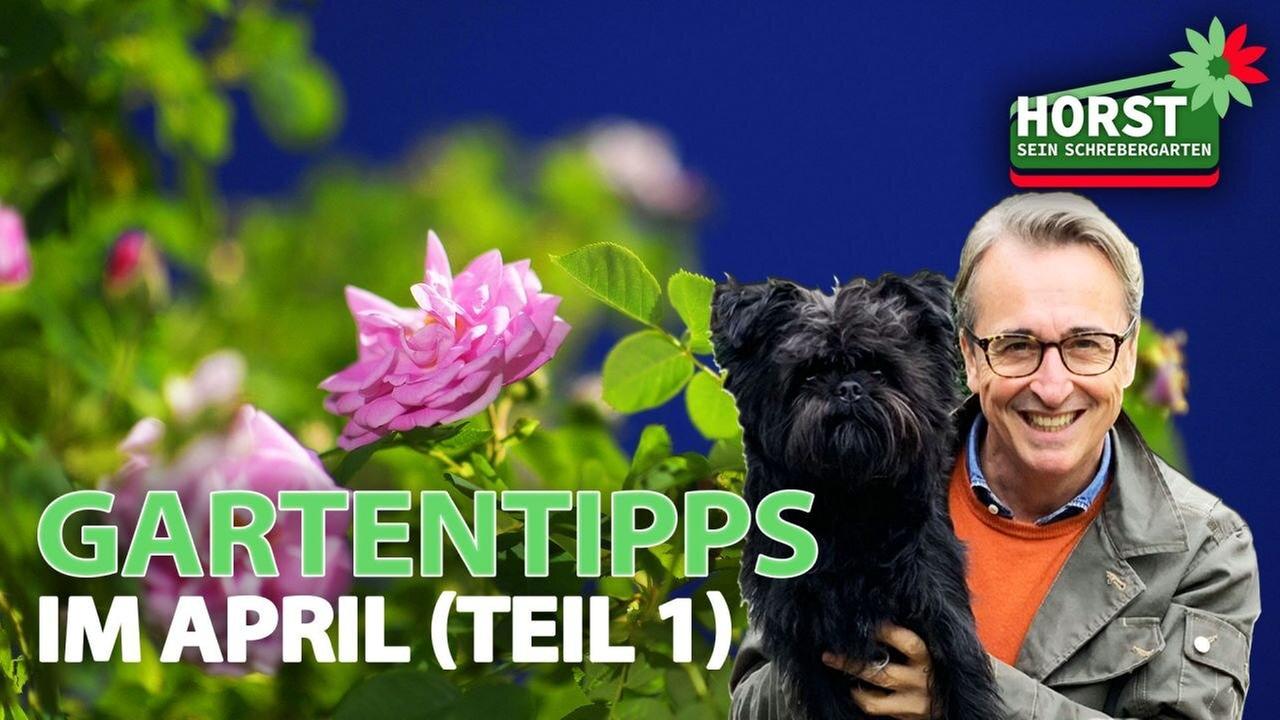 Gartentipps im April (1/2)