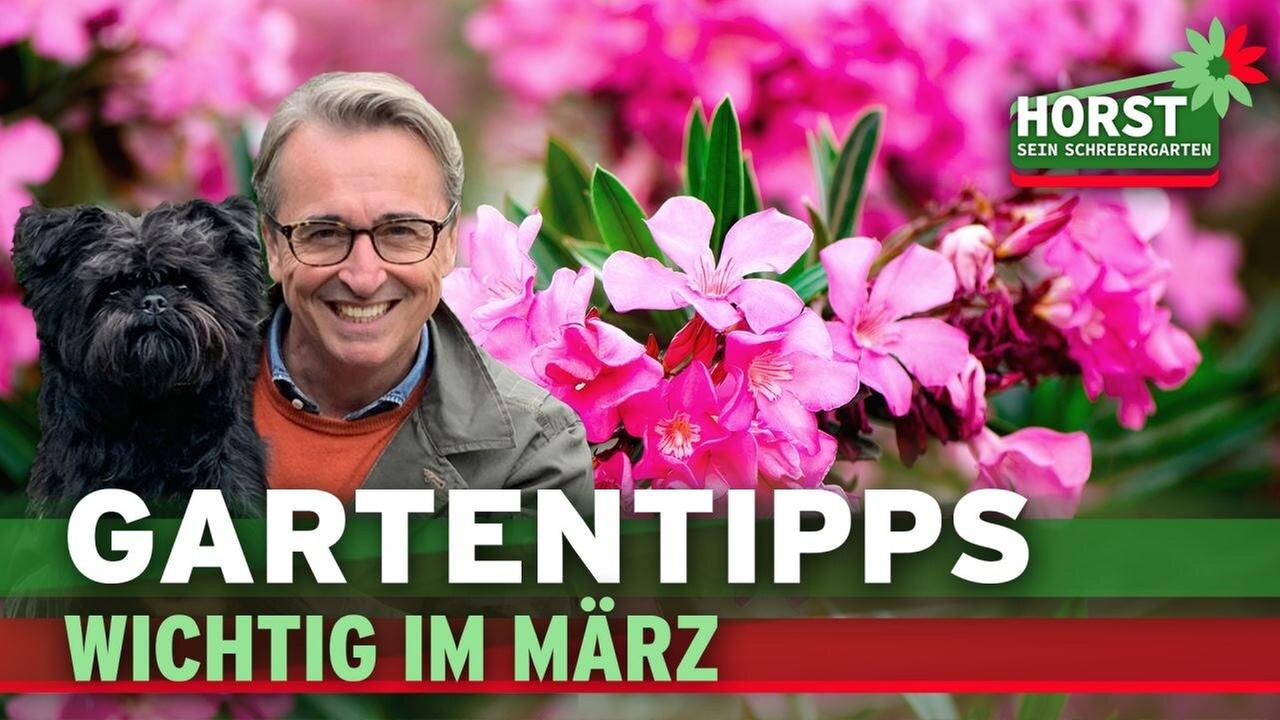 Gartentipps im März