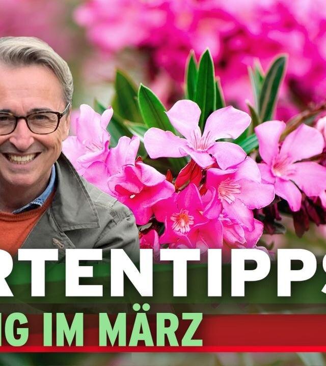 Gartentipps im März