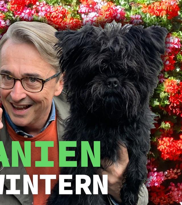 Geranien (Pelargonien) vom Balkon frostfrei über den Winter bringen
