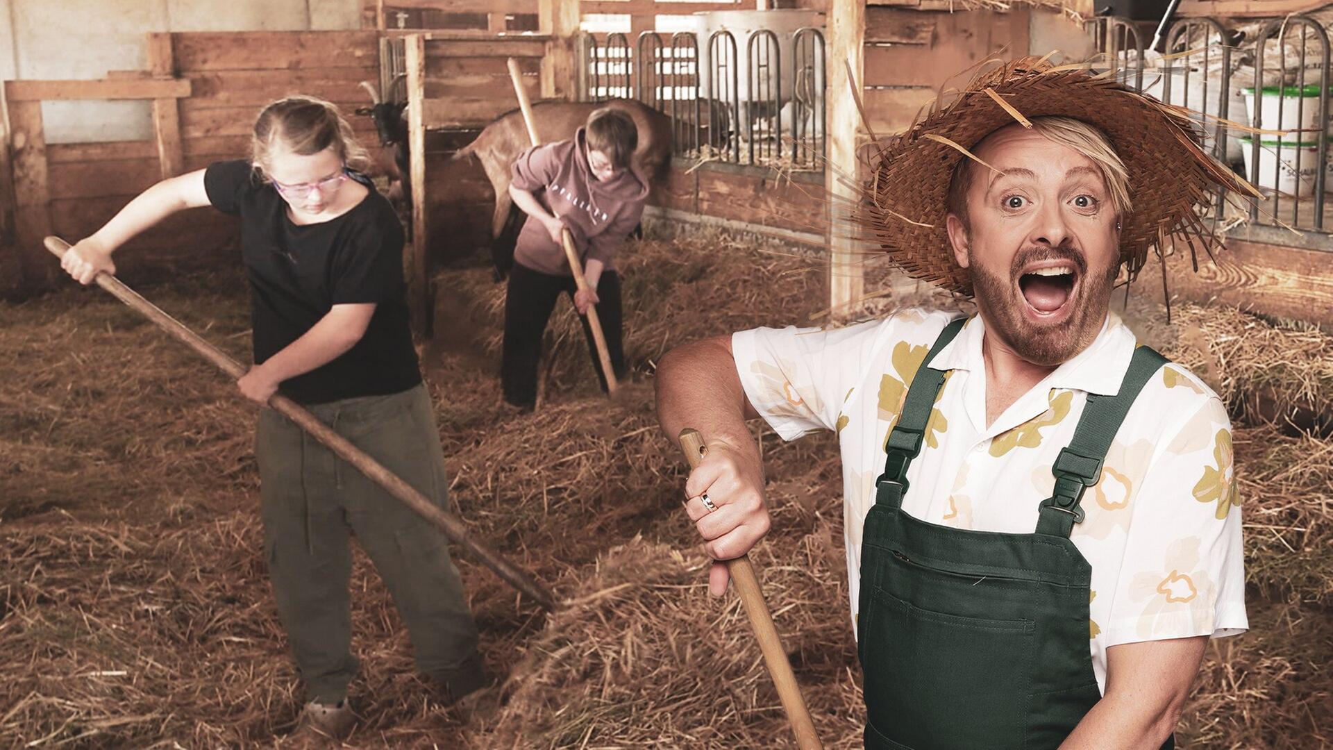 Großes Meckern und Big City Life