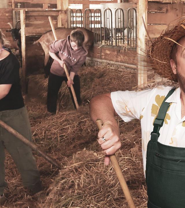 Großes Meckern und Big City Life