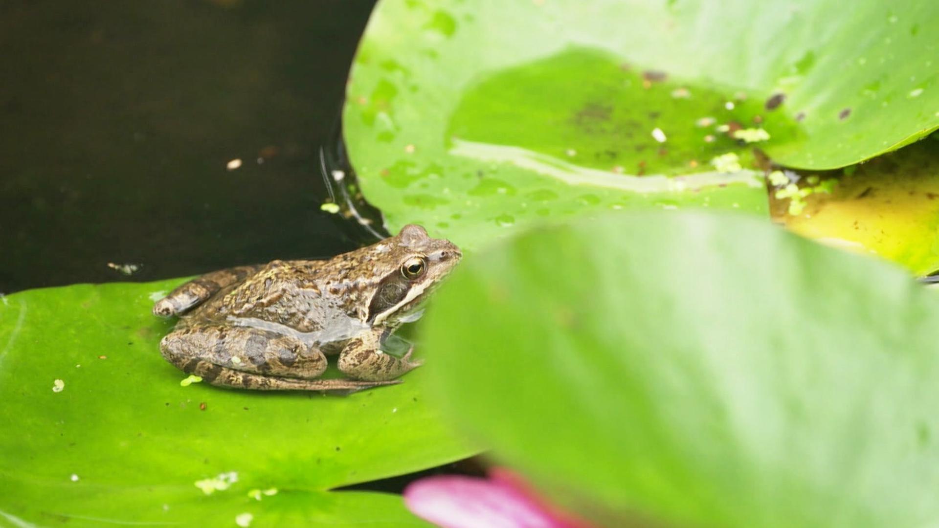 Grüne Stadt - Lieblingsplätze in Hamburg