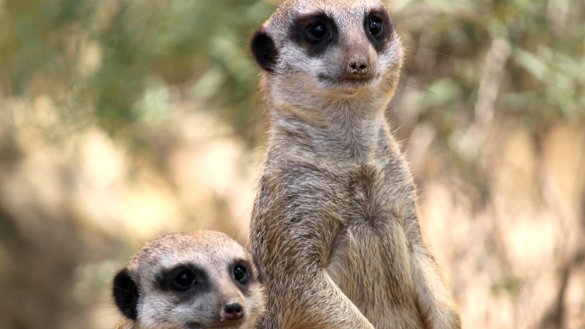 Guten Appetit – mit kleinen Hindernissen