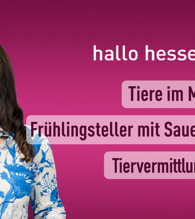 hallo hessen – Teil 1 vom 10.03.2025
