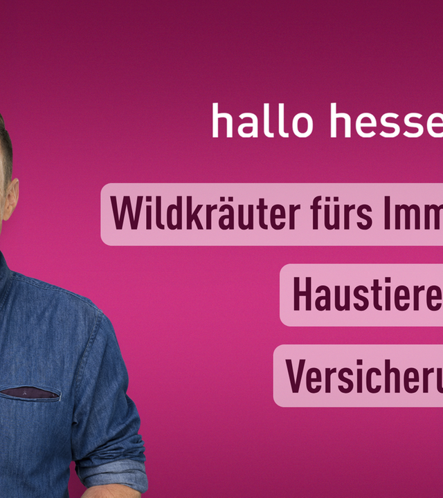 hallo hessen – Teil 2 vom 05.11.2024