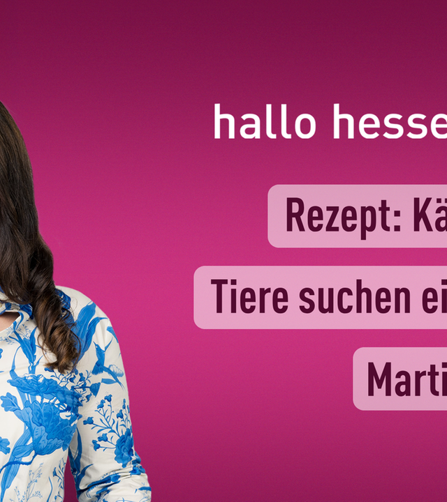 hallo hessen – Teil 2 vom 11.11.2024