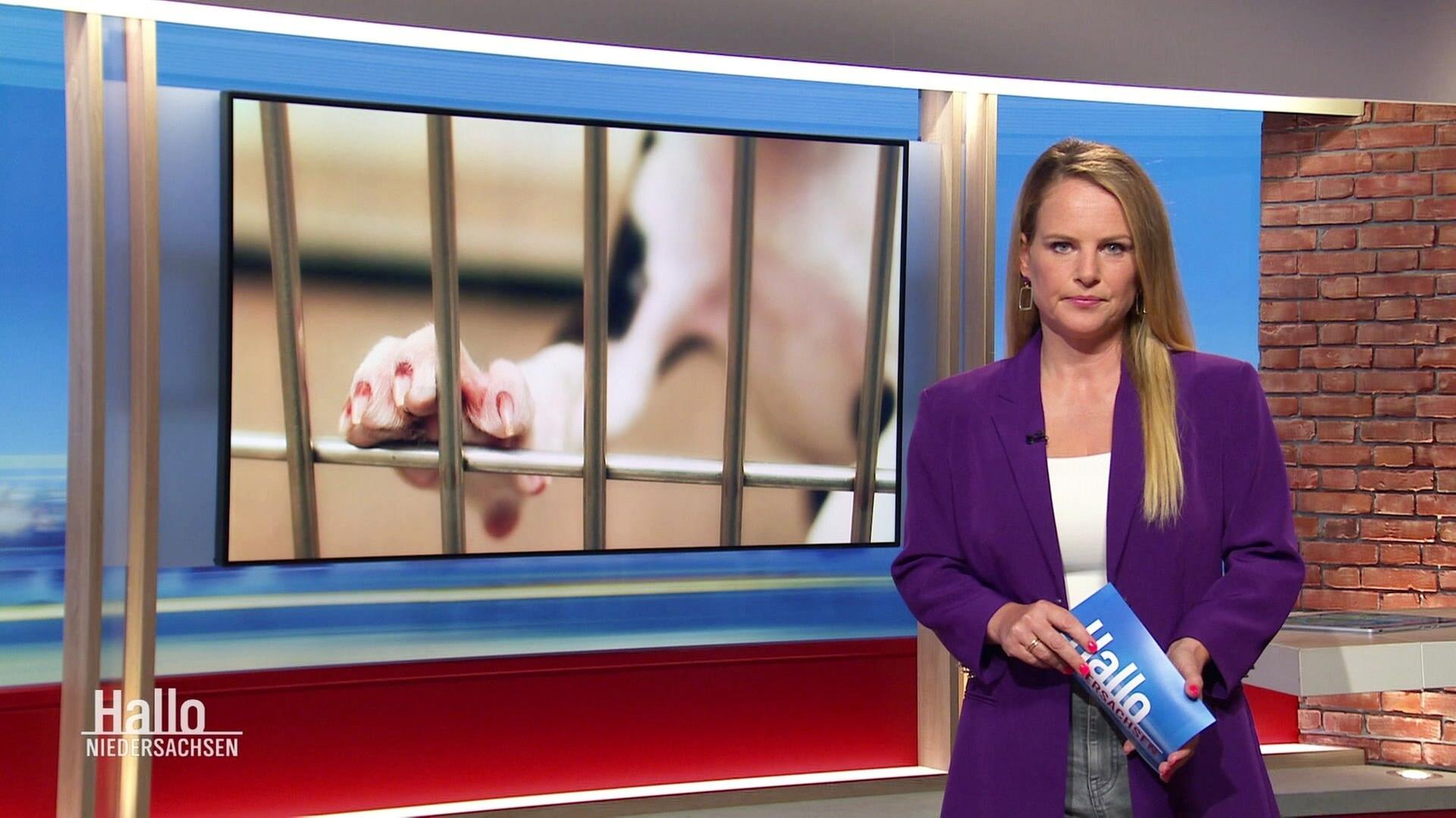 Hallo Niedersachsen - 11.09.2024