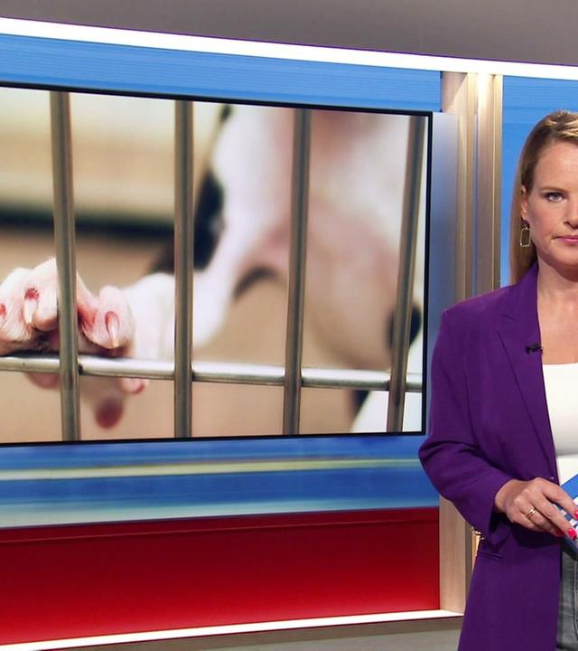 Hallo Niedersachsen - 11.09.2024